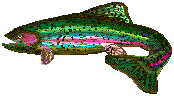 trout show xenoestrogens cause Cervical Dysplasia
