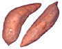 Cervical Dysplasia YAM
